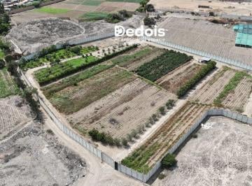¡Venta Terreno 13, 900 m² en Pachacamac!