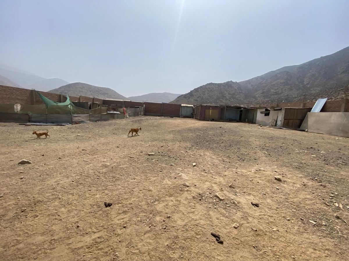 Terreno a La Venta en Pachacamac Comunidad Campesina Collanac