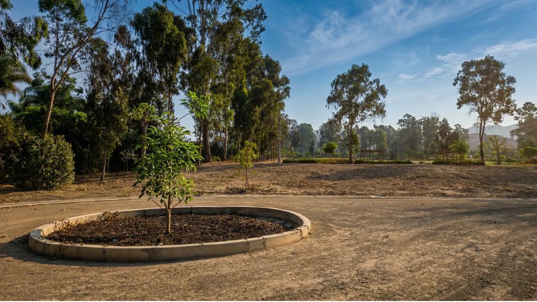 Oportunidad Terreno en Esquina 140 m² Fundo Pradera II Pachacamac
