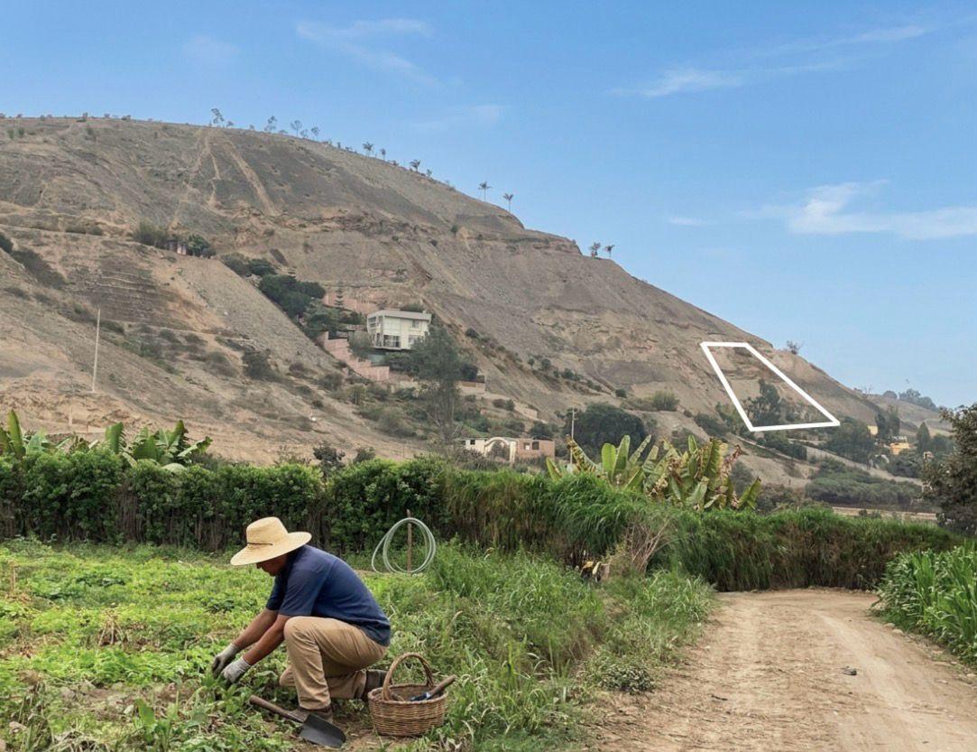 Venta de Terreno Fundo Tomina Pachacamac