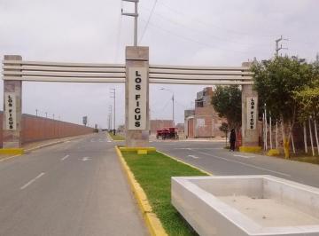 ¡Ocasión! Terreno de 500 m² en Urb. Los Ficus I – Ideal Para Proyecto o Residencia