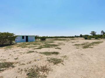 Terreno de 6 Ha en Pisco, Cerca a Av. Fermin Tanguis