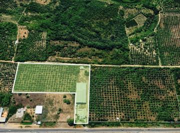 Terreno Comercial de 30, 000 m² en Venta en Tambo Grande, Piura