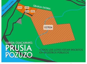 Vendo Terreno 6 Ha Pozuzo Oxapampa Semi Rural a 100 m Carretera Central