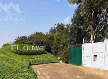 Venta de Terreno en Condominio El Olivar – Fundo La Quipa, Pucusana