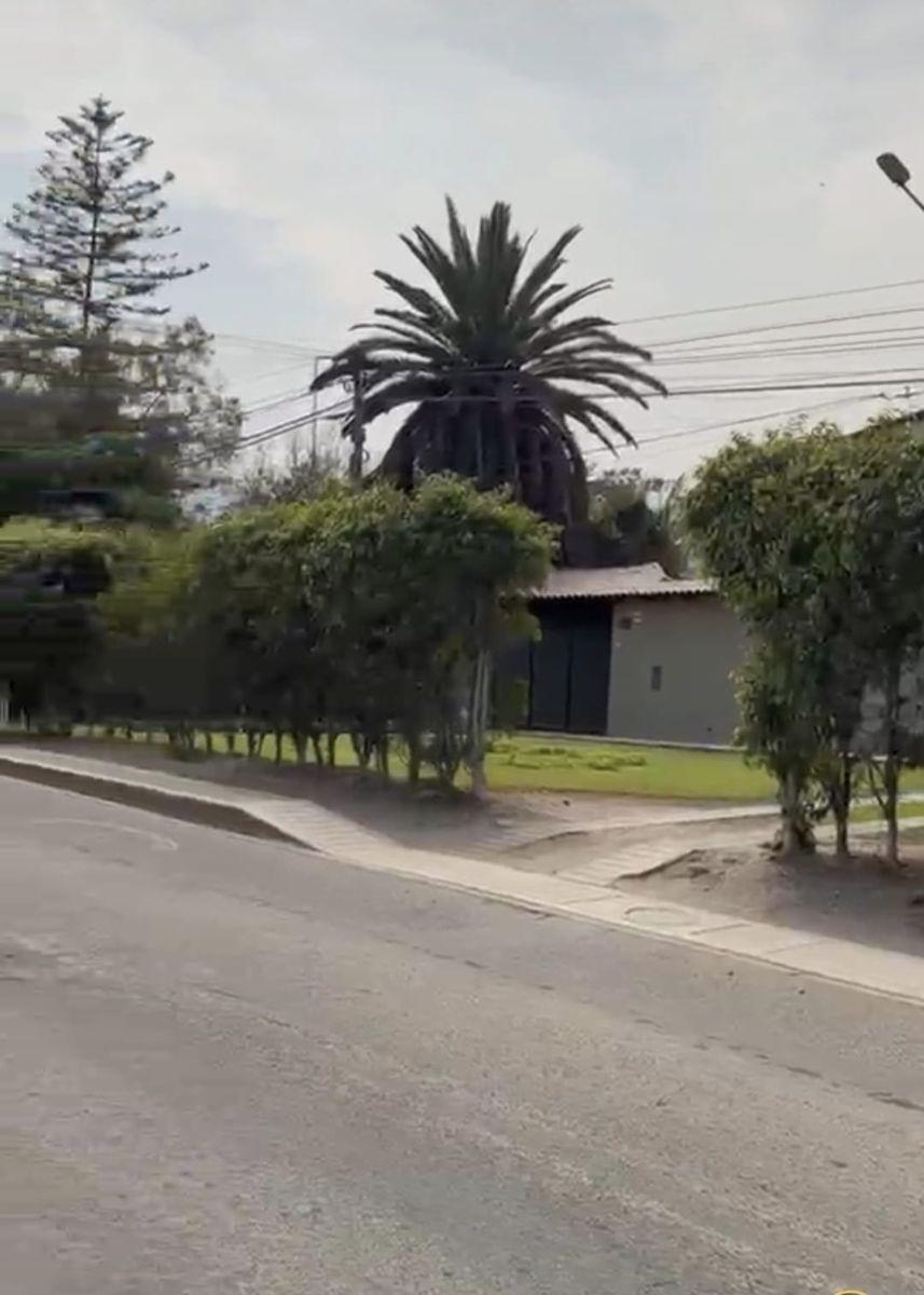 Se Vende Terreno en La Molina de 1250