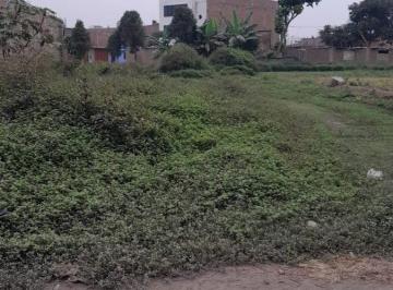 Vendo Terreno en Puente Piedra, Cerca a La Casa del Abuelo. Áre: 1 030 m². ID. T - 27