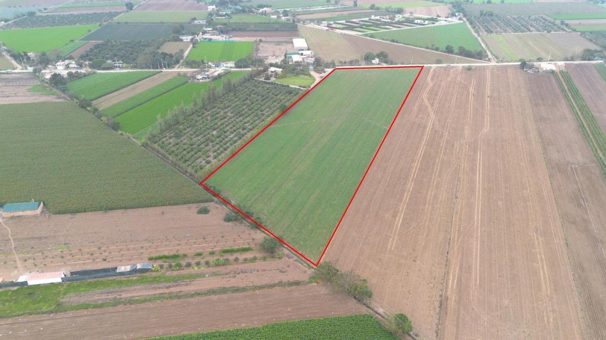 Terreno en Venta 1.5 Hectáreas en Quilmaná - Cañete