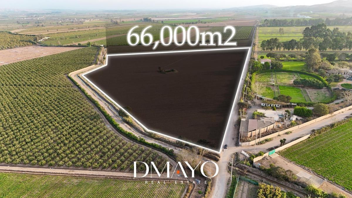 Se Vende Terreno de 6.6 Hectáreas en Quilmana Cañete