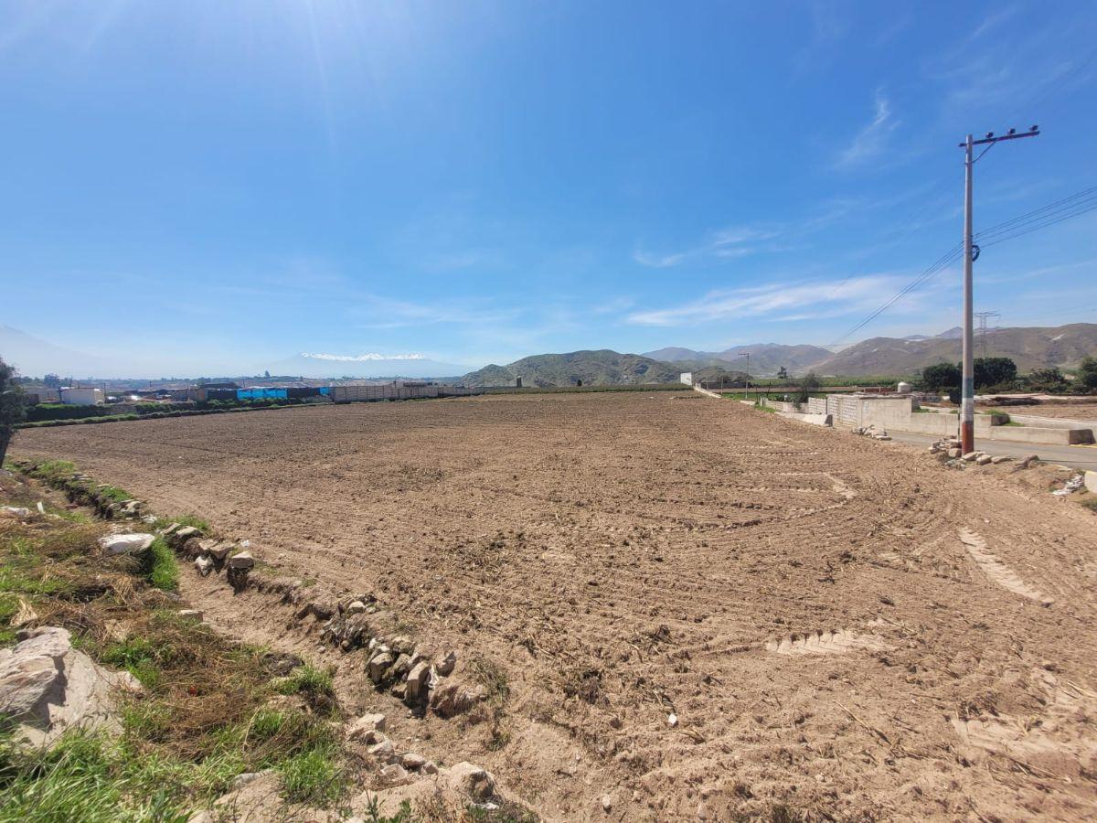 Terreno Agricola en Venta