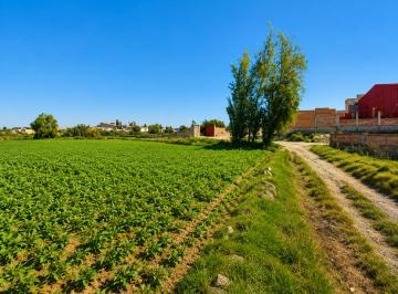 Terreno en Venta – Huaranguillo, Sachaca