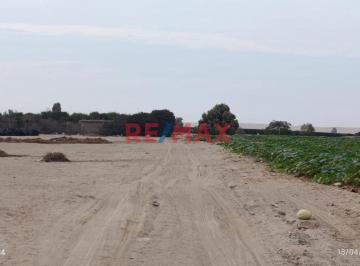 Terreno Agrícola en Venta – San Andrés, Pisco