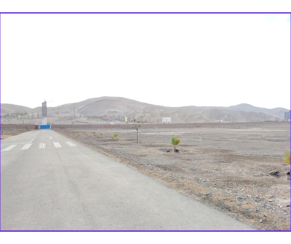 Terreno en Venta – 5, 000 m² | Km 50 Panamericana Sur | Alto Potencial Comercial
