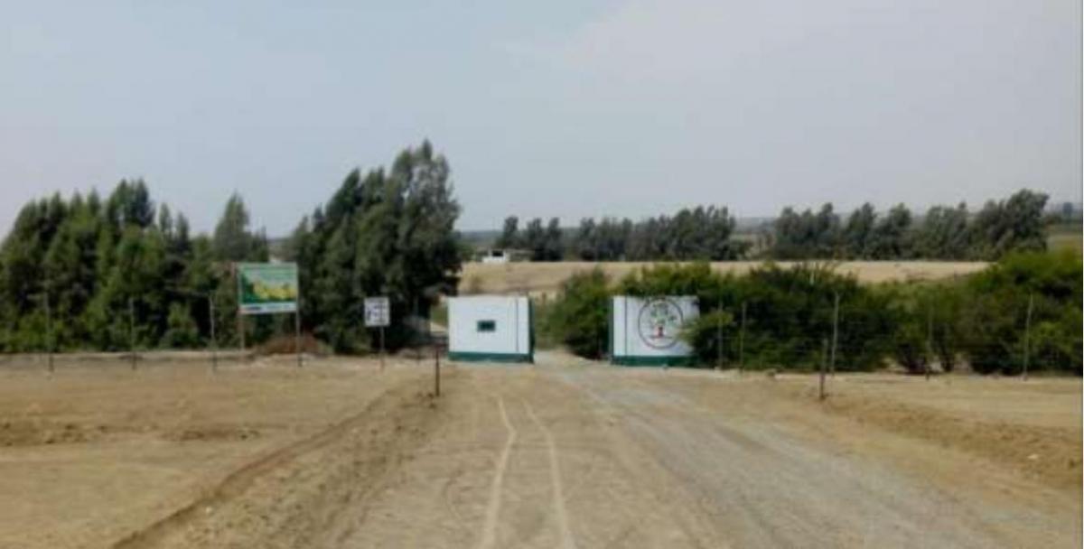 Venta de Terreno de 49.43 Ha en San Clemente, Pisco