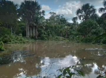 Ross Terreno en Varillal Cerca Al Aeropuerto Km 16 Carretera Iquitos - Nauta