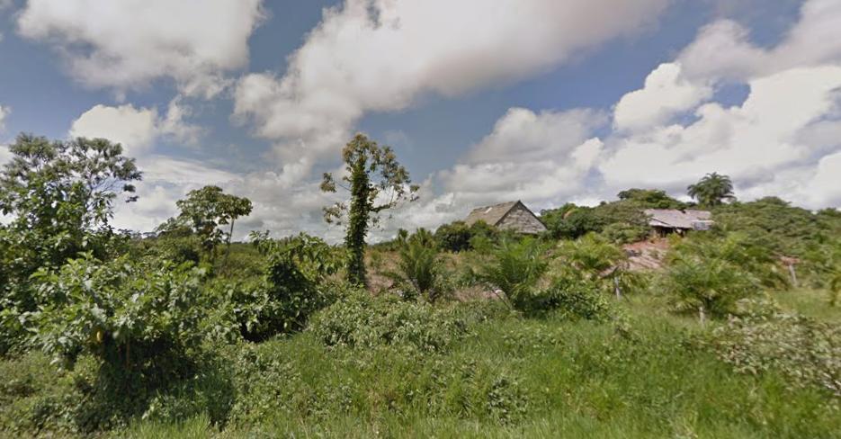 Terreno Agrícola Fértil de 127 Has en Iquitos – Ideal Para Proyectos Sostenibles