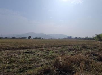 Vendo Terreno en Chuquitanta, San Martin de Porras. Cerca del Ovalo de Canta Callao. ID. T - 24