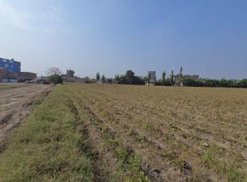 Vendo Terreno Cerca Al Ovalo de Canta Callao, Chuquitanta, San Martin de Porras. ID. T - 26