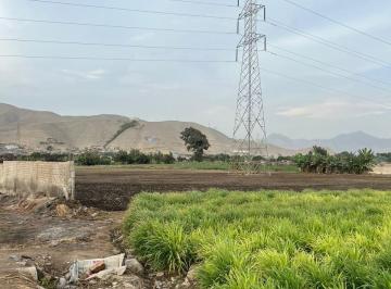 Terreno 80, 000 m² - 8has - Ex - Fundo Chuquitanta S. M. p.