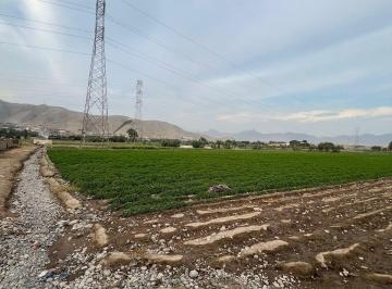 Terreno 31, 000 m² en San Martin de Porres - Lima