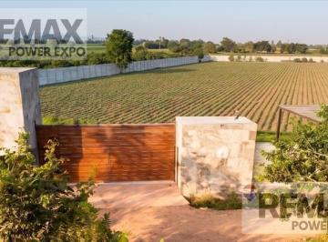 Terreno en Venta de 1 Hectárea (10, 600 M²) Ubicado en Quilmaná - Cañete