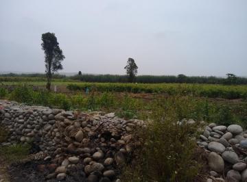 Ab - 1162 - Se Vende Excelente Terreno Agricola de 150 Has en Herbay Alto, San Vicente de Cañete