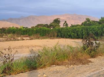 Venta de Terreno en Asia, Cañete de 1, 000 m² en El Limón Santa Rosa de Asia, Cañete