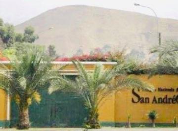 Venta de Terreno / Lote en Santa Cruz de Flores - Cañete 0 Dormitorio