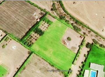 Venta Terreno Para Casa de Campo, Cultivado y Plano.
