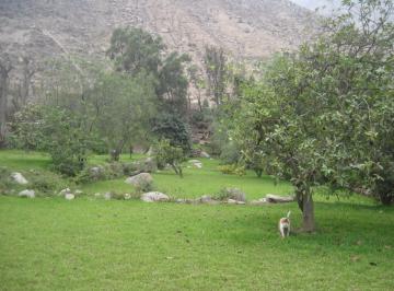 Vendo Terreno Ex Fundo Parca Santa Eulalia 2, 458 m²