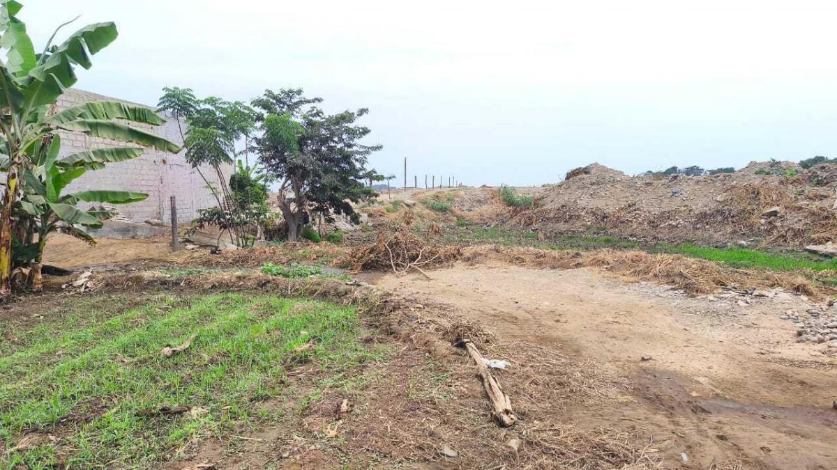 Vendo Amplio Terreno en Sector La Barranca Valle Moche, Trujillo. (Altura Centro Poblado Curva Sun