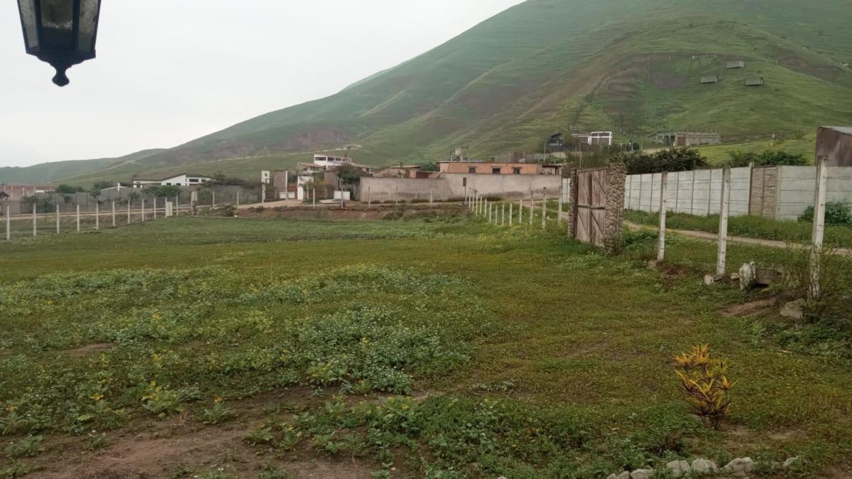 Terreno Para Tu Casa de Campo o Inversión Cerca a Lurín - Pachacamac