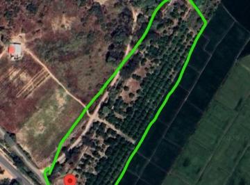 Se Vende Terreno Parcela de 6 Hectáreas con Plantación de Mango