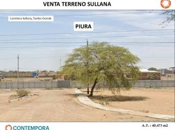 Vente Terreno Industrial - Tambo Grande - Sullana - 40, 743 m²