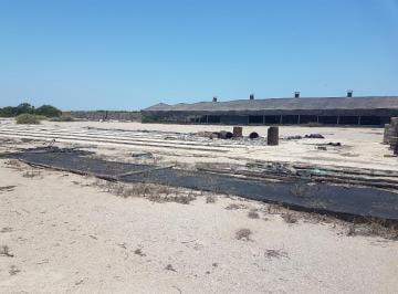 Vendo Terreno, Sunampe, Chincha