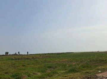 Terreno en Tambo de Mora de 37900 m² en Venta