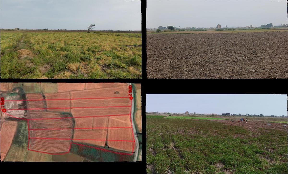 Terreno Agricola