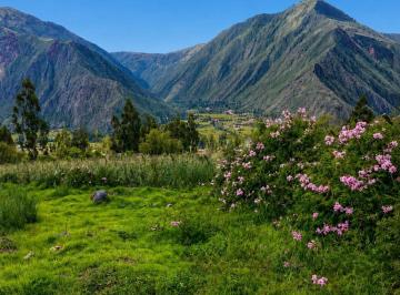 En Venta Terreno Excepcional – Sector Huayoccari (Urubamba)