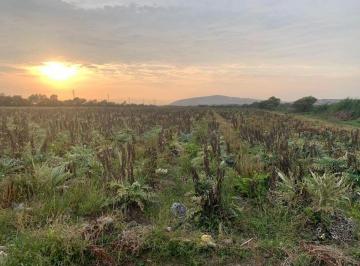 Oportunidad! Terreno de 12.96 Ha, en Mazo, Vegueta. Altura del Km 157 de La Ant. Panamericana Norte