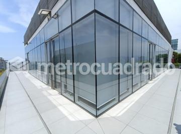 Oficina 447 m² – Gris – San Isidro