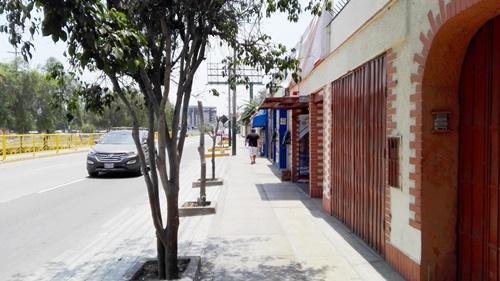 Ocasion Local Comercial *paramet. 10 Pisos* - Frente a Panamericana Sur, Surco